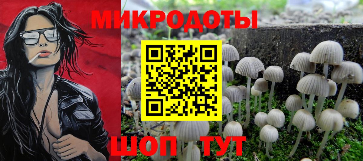 сколько стоит  Псилоцибиновые грибы мухоморы  Вход с VPN  Псилоцибиновые грибы Psilocybine cubensis  Благовещенск 